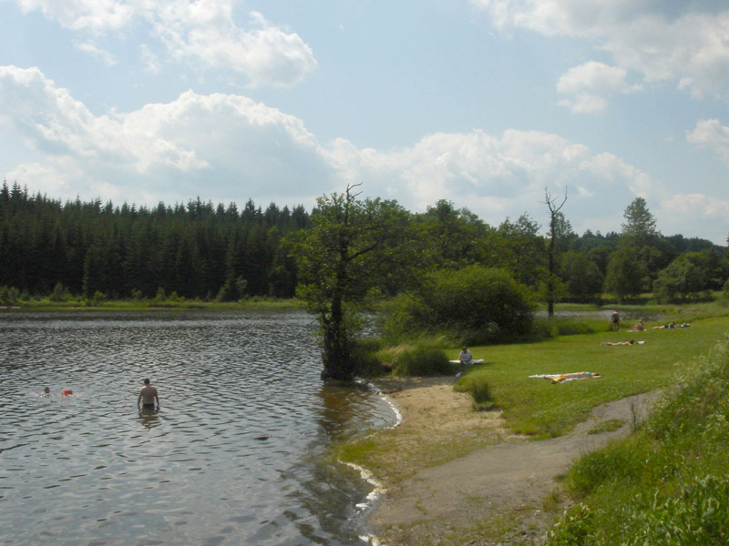 Medlov - Foto č. 1